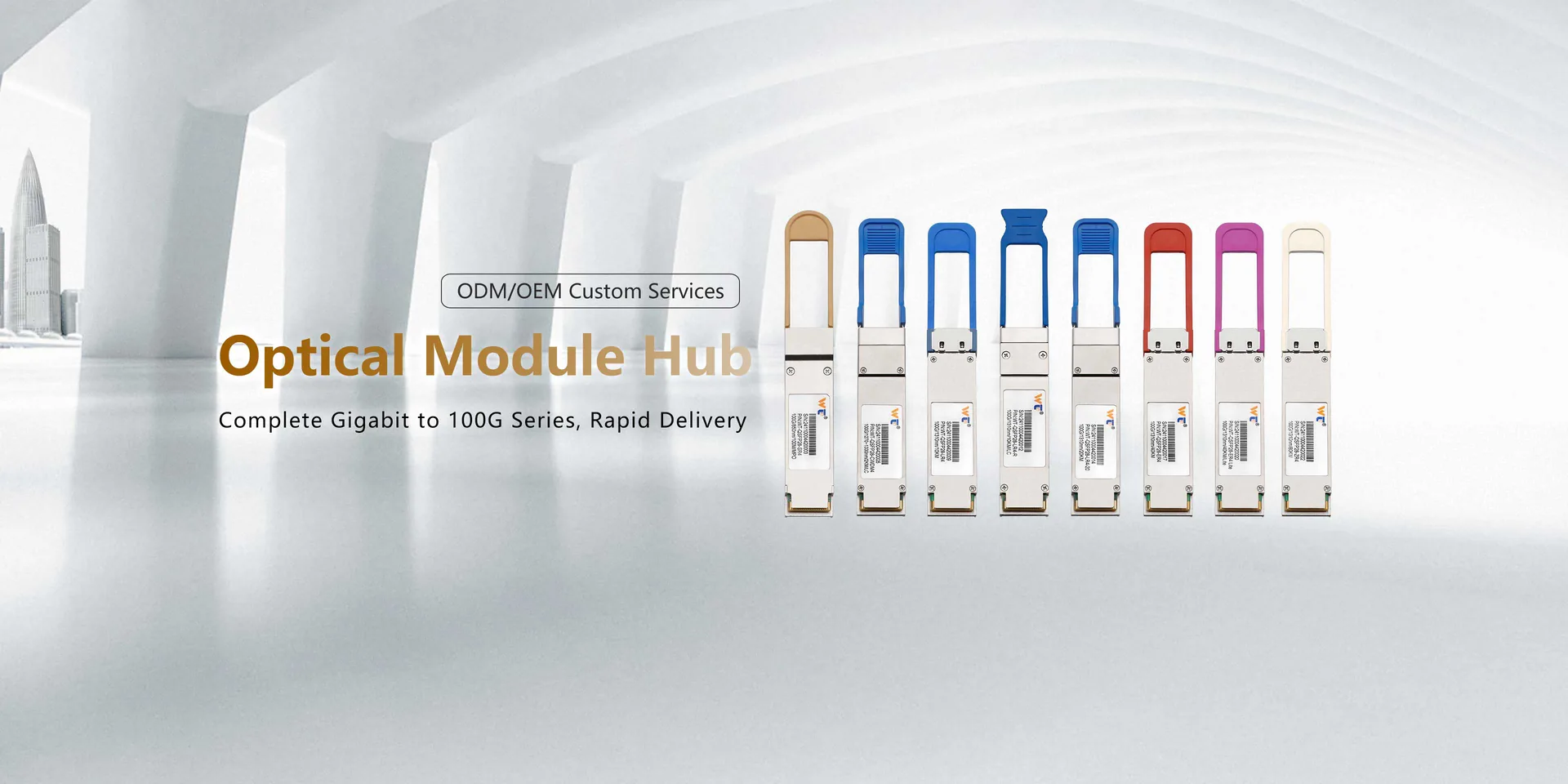 Optical Module Hub – complete Gigabit to 100G series