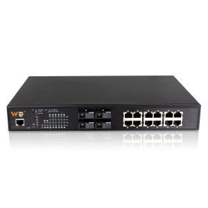 12 ports Managed Ethernet Switches (Gigabyte)